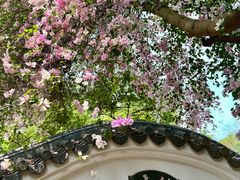 -深圳国际园林花卉博览园