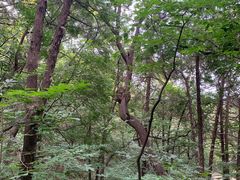 -香山公园