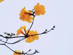 -府河摄影公园