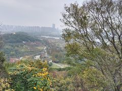 -苏州上方山国家森林公园