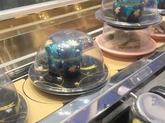 -争鲜回转寿司(南开大悦城店)
