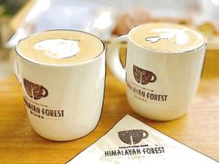 -喜马拉雅森HIMALAYAN FOREST