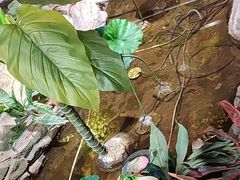 -城墙拐拐火锅(三峡广场黑金冠店)