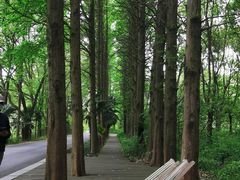 -同里国家湿地公园