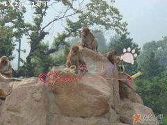 -西安秦岭野生动物园