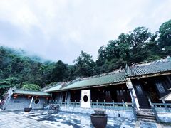-鼎湖山风景区