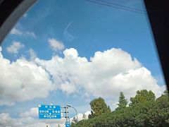 -马陆小张葡萄园农家乐