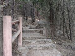 -府君山公园