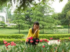 -洛阳郁金香牡丹园