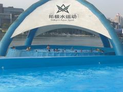 -欢乐海岸椰林沙滩-2025湾区超级灯会