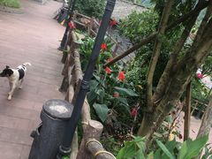 -楠柏弯休闲山庄(梨花溪店)