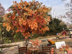 -HERRE·FARM 赫尔露营农场·团建聚会包场