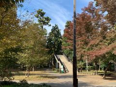 景点-井之头恩赐公园