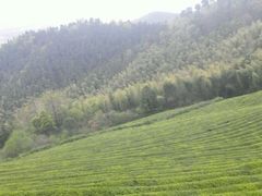 -敬亭山风景名胜区