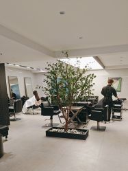 -付军剪艺JF ProSalon