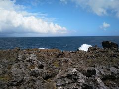 -龙坑生态保护区