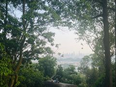 -火炉山森林公园