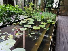 -箱美术馆私房菜(水晶郦城店)