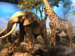 -陕西自然博物馆