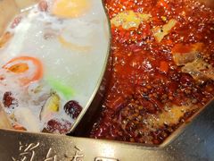 -蜀九香火锅(彩虹店)