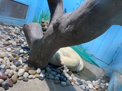 -石家庄市动物园