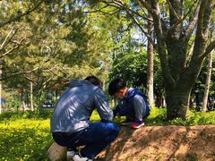 -回龙观体育文化公园