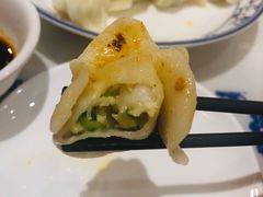 黄瓜鲜虾水饺-东方饺子王(新奥购物中心店)