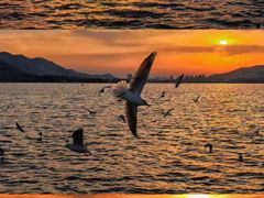 -云龙湖旅游景区