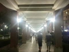 纪念品-龙舟池