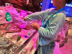 -沈阳海洋探索中心