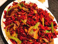 -福苗小骆驼烧烤(大唐不夜城店)