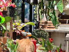 -自由生长植物工作室(深港花卉中心店)