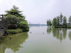 -海珠湖公园