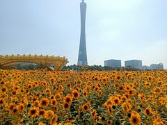 -海心沙亚运公园