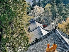 -潭柘寺景区