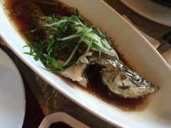 -十八棵（老龙井）御茶园(老龙井店)
