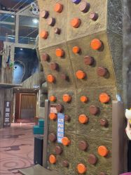 -卡通尼·Safari非洲探索乐园·生日会(金桥国际商业广场店)