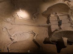 -洛阳周王城天子驾六博物馆