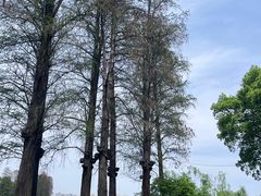 -东湖生态旅游风景区