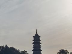 -重庆园博园