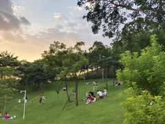 -白石龙音乐公园