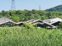 -西湖风景区-江洋畈生态公园