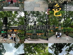 -普陀山风景名胜区-法雨禅寺