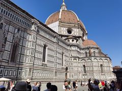 -圣母百花大教堂穹顶