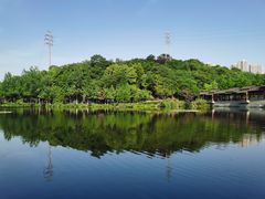 -重庆彩云湖湿地公园
