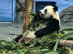-秦皇岛野生动物园