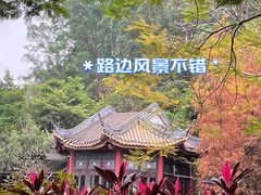 -新华书店(顺峰山公园店)