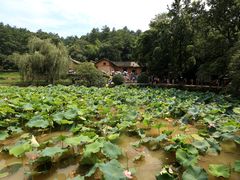 -韶山毛泽东同志故居