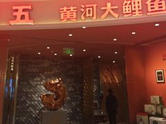 -阿五黄河大鲤鱼(海尚店)