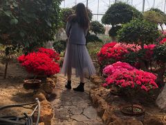 -南通洲际绿博园